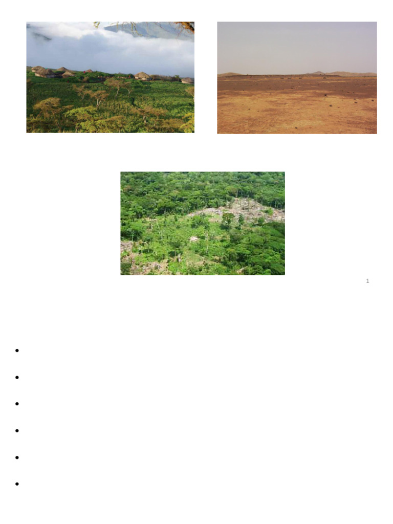 Introduction à la Pédologie et Sols | PDF | Sol (pédologie) | Matière ...