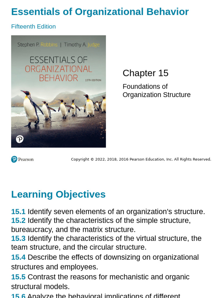 Chapter 15 Orgstructure Org | PDF | Organizational Structure | Business