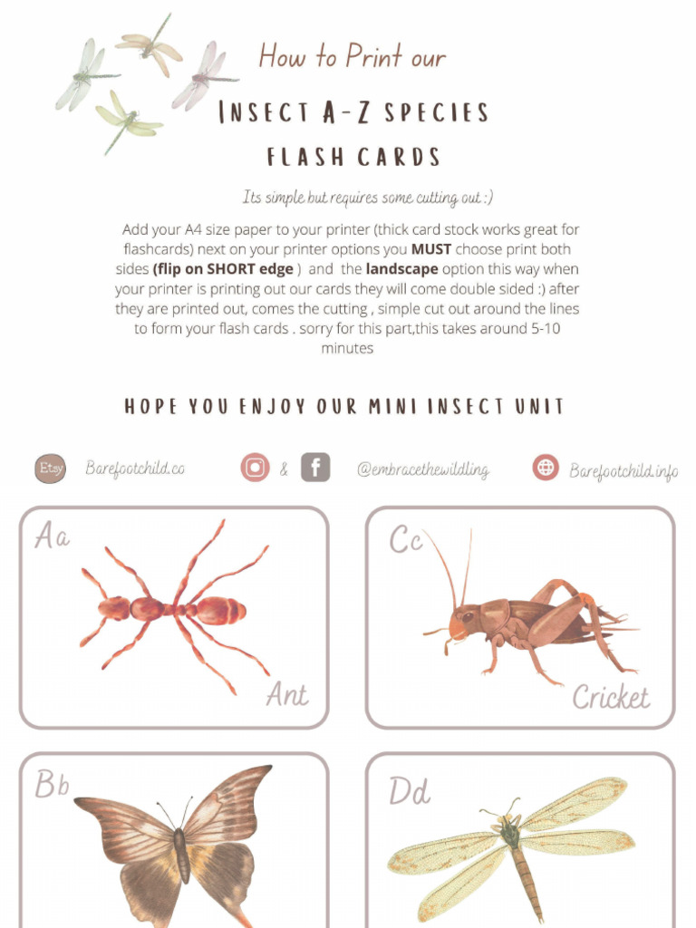 A-Z Insect Species List | PDF