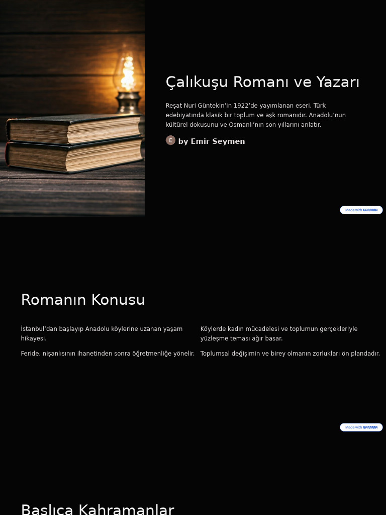 Calikusu Romani Ve Yazari | PDF