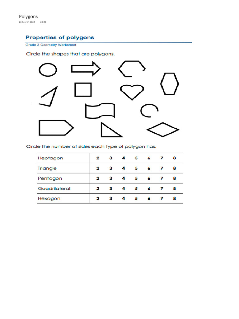 Polygons Blank | PDF