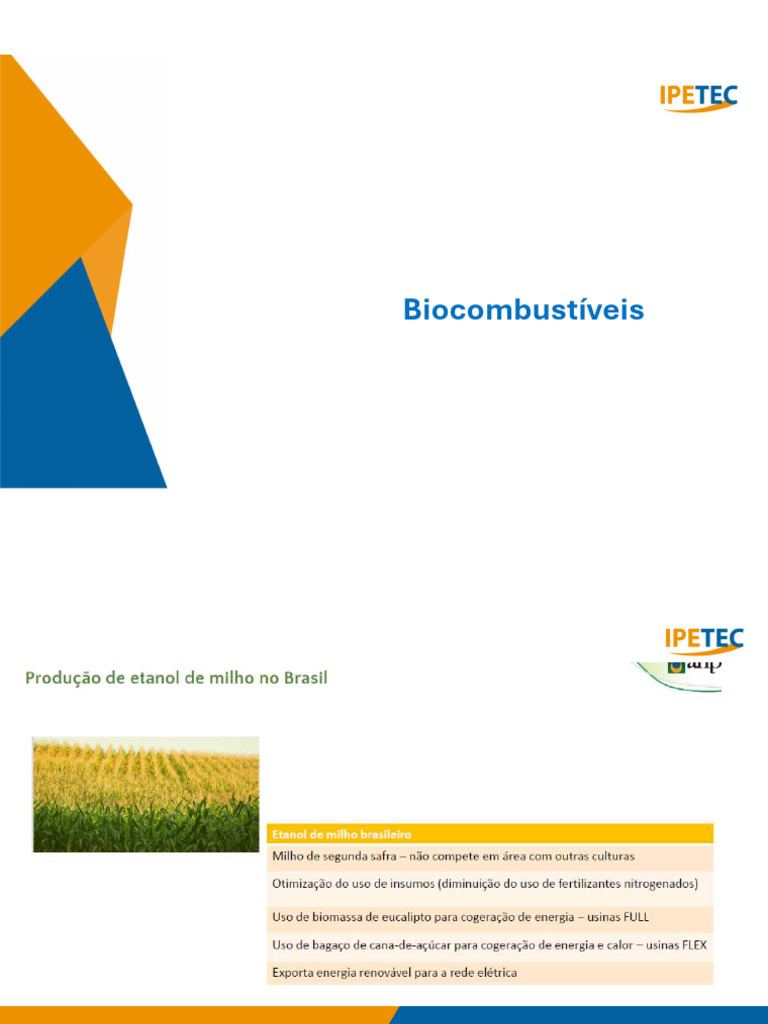 Aula Bio 3 | PDF