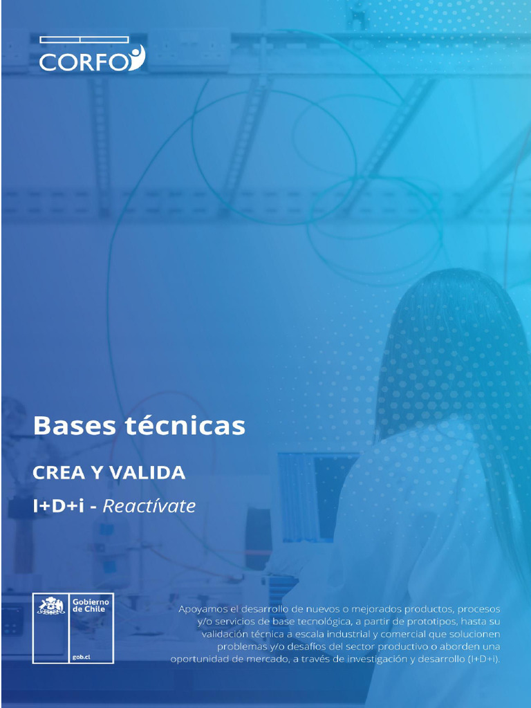 Instrumento CREA Y VALIDA - REACTIVATE | PDF | Investigación y ...