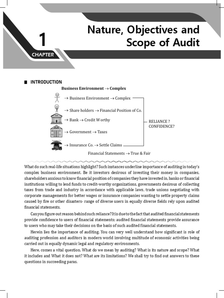 Understanding Auditing: Nature & Scope | PDF | Audit | Financial Audit