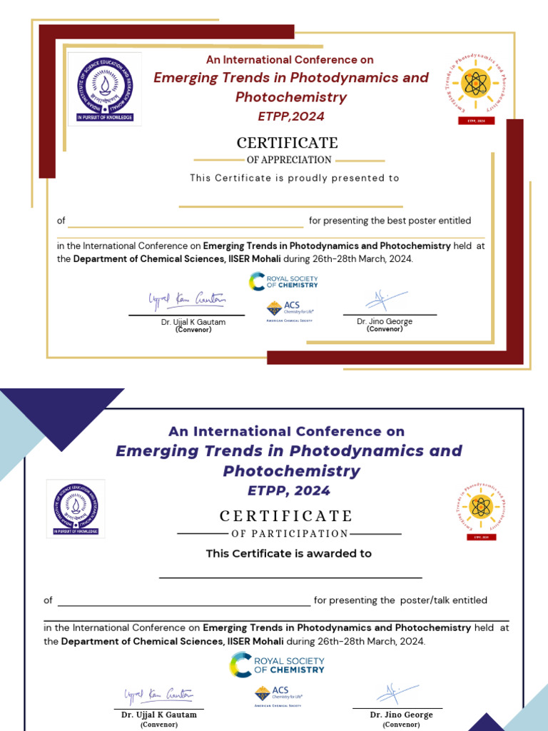 Certificate of Participation: ETPP 2024 | PDF