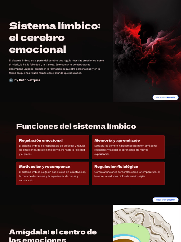 Funciones del sistema límbico en emociones | PDF | Las emociones ...
