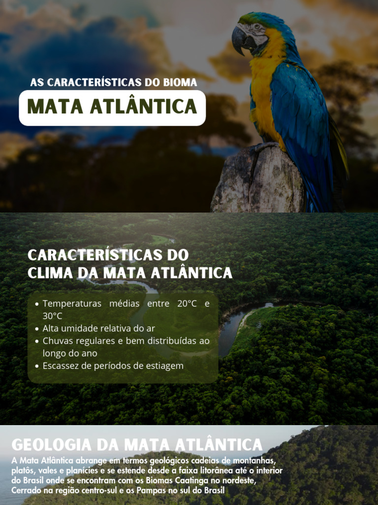 Características e Impactos da Mata Atlântica | PDF