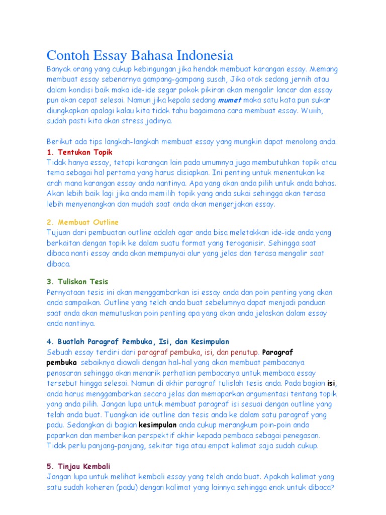 web essay bahasa indonesia