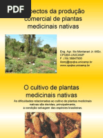 Aspectos Da Producao Das Plantas is Nativas Ilio Montanari Jr