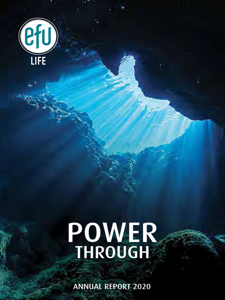 EFU Life AR20 Final | PDF | Governance | Business