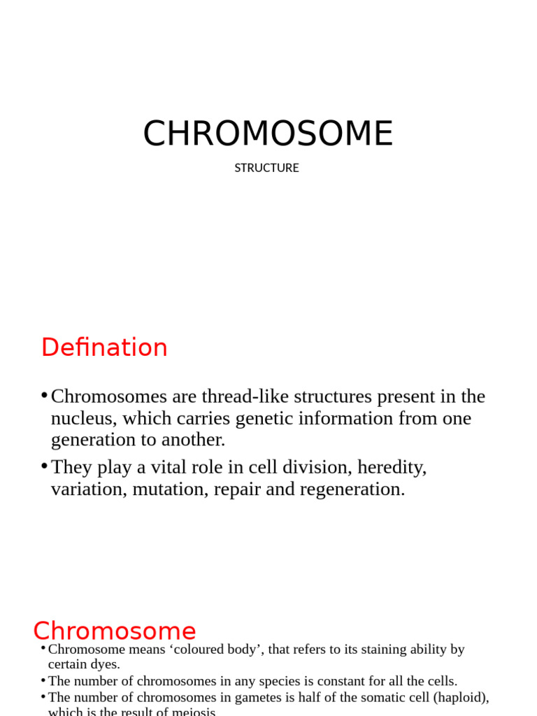 Chromosome Structure and Function Overview | PDF | Dna | Chromosome