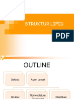 Struktur Dan Klasifikasi Lipid