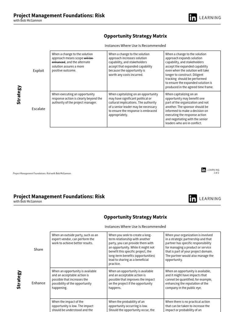 Opportunity Strategy Matrix Overview | PDF | Project Management | Business
