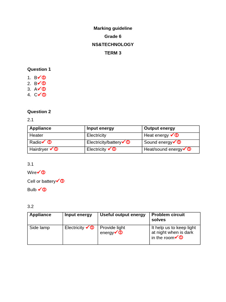 Grade 6 NS & Technology Marking Guide | PDF