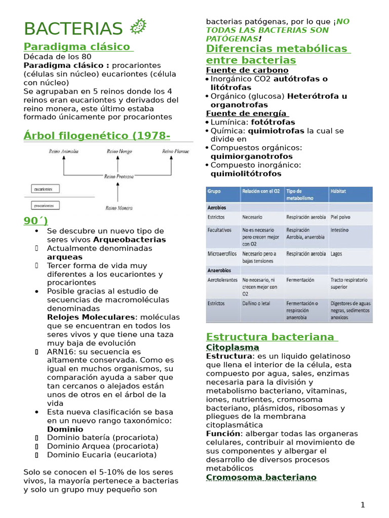 Clase Adn Bacterias | PDF | Las bacterias | Procariota