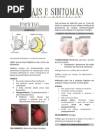 Tor o Das Hid tides De Morgagni PDF