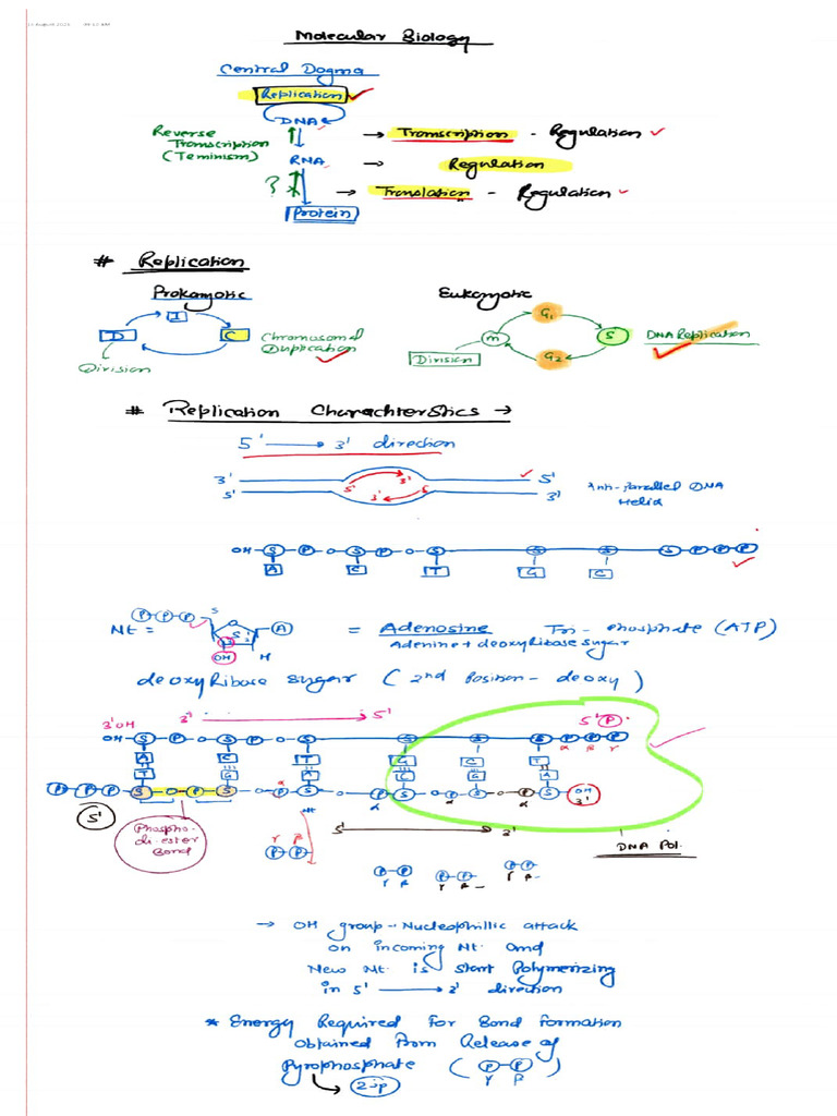 Molecular Bio L 1 & 2 | PDF | Dna Replication | Nucleic Acids