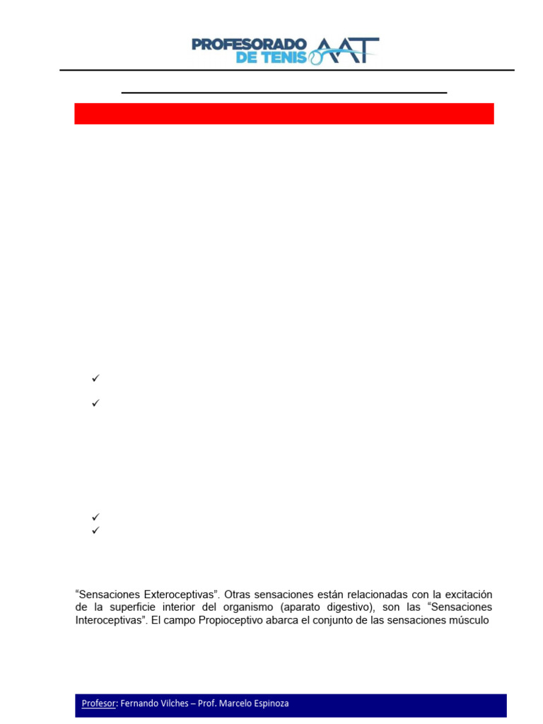 PF3 ML Ajuste Perceptivo Motor | PDF | Percepción | Sentidos