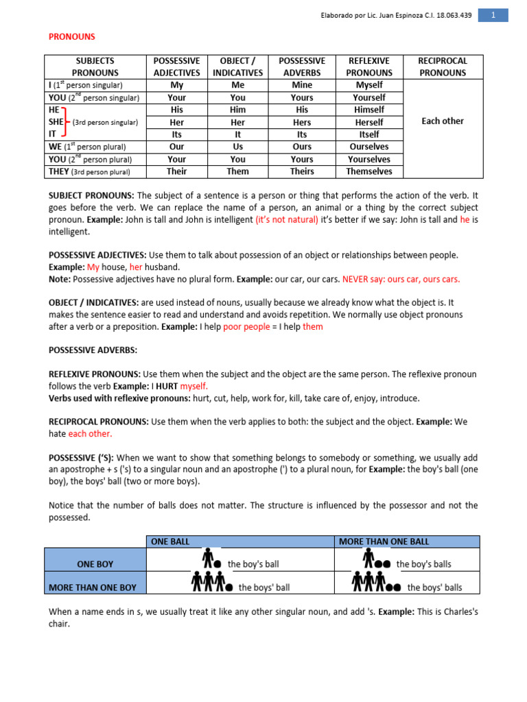 Understanding English Pronouns and Verbs | PDF | Plural | Grammatical ...
