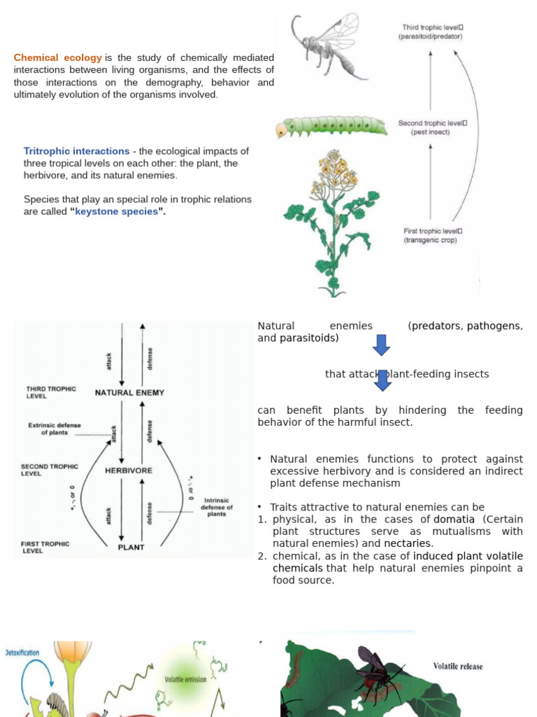 Tritrophic Interactions in Ecology | PDF | Pheromone | Herbivore