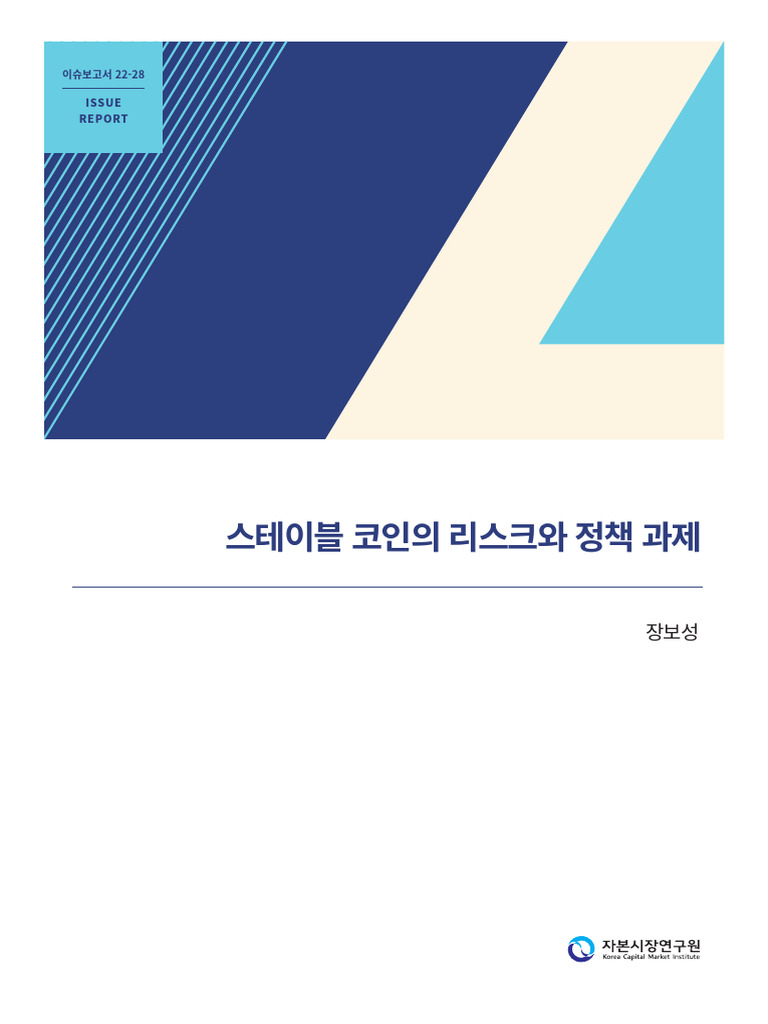 22-28) 스테이블 코인의 리스크와 정책 과제 | PDF