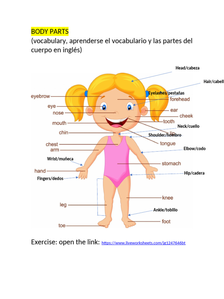 Body Parts and Physical Appearance Vocabulary | PDF | Apariencia humana ...