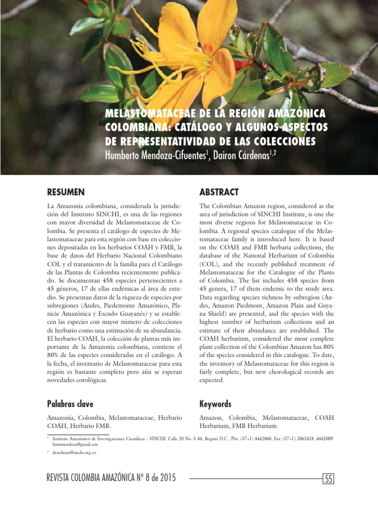 Melastomataceae de La Regin Amaznica Colombiana Catlogo y Algunos ...