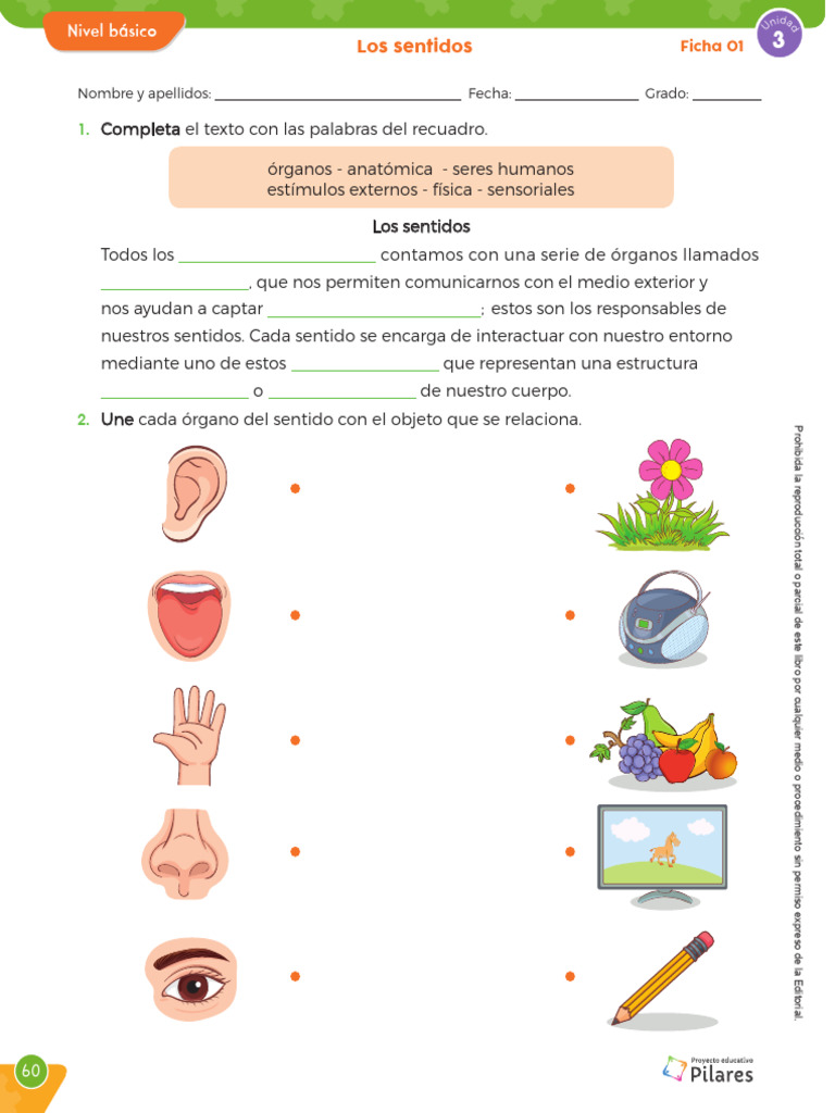 1 Ciencia y Tecnología 5 U3 Los Sentidos Alumno | PDF | Sentidos ...