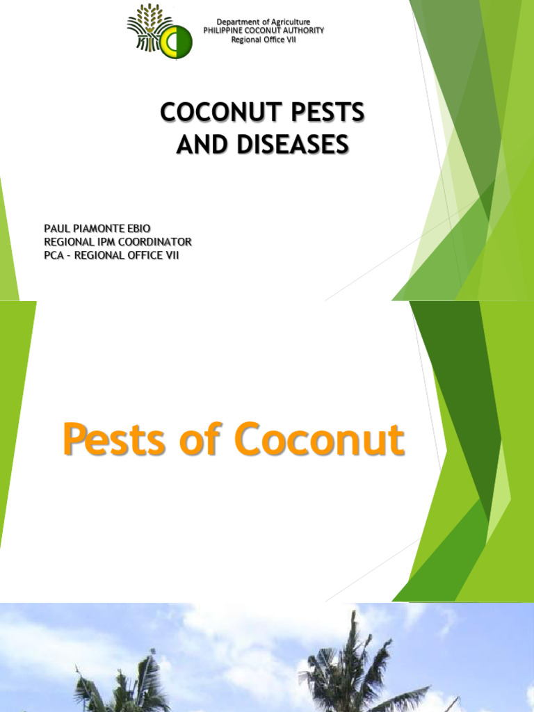 Coconut Pest Management Strategies | PDF | Insects