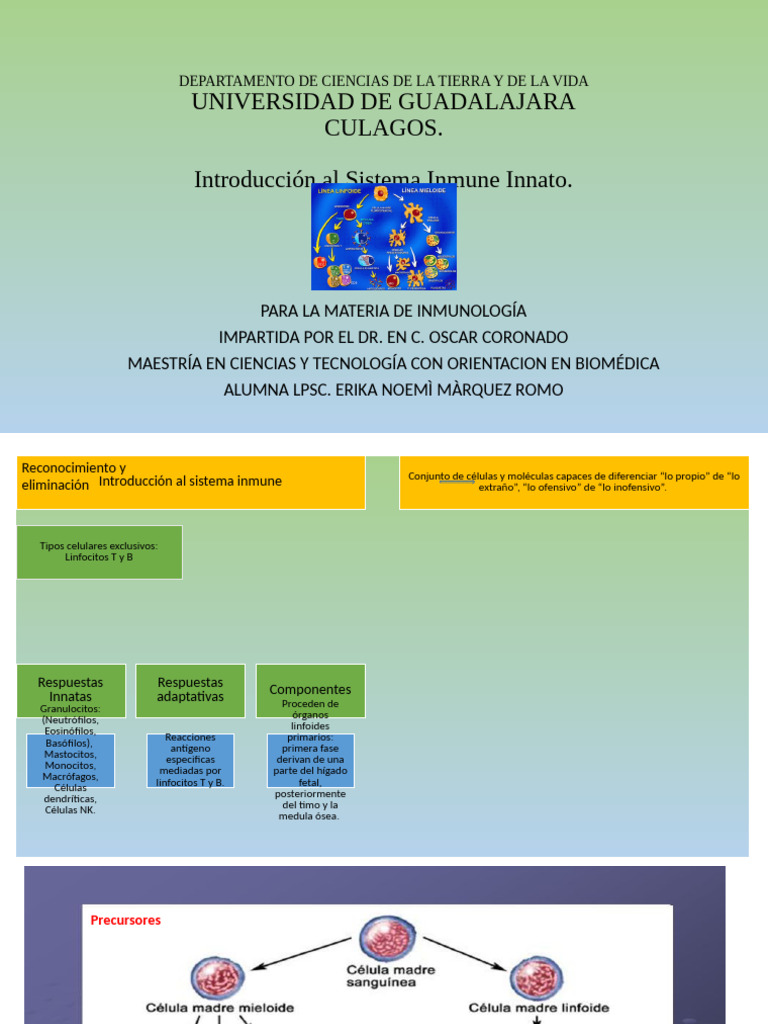 Sistema Inmune 1 Pdf Sistema Inmune Linfocitos
