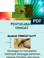 Tomcat Slide