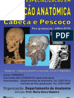 Curso de Especialização em Dissecção Anatómica - Cabeça e Pescoço