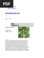 Download 1 by Xman Bloved SN87995155 doc pdf