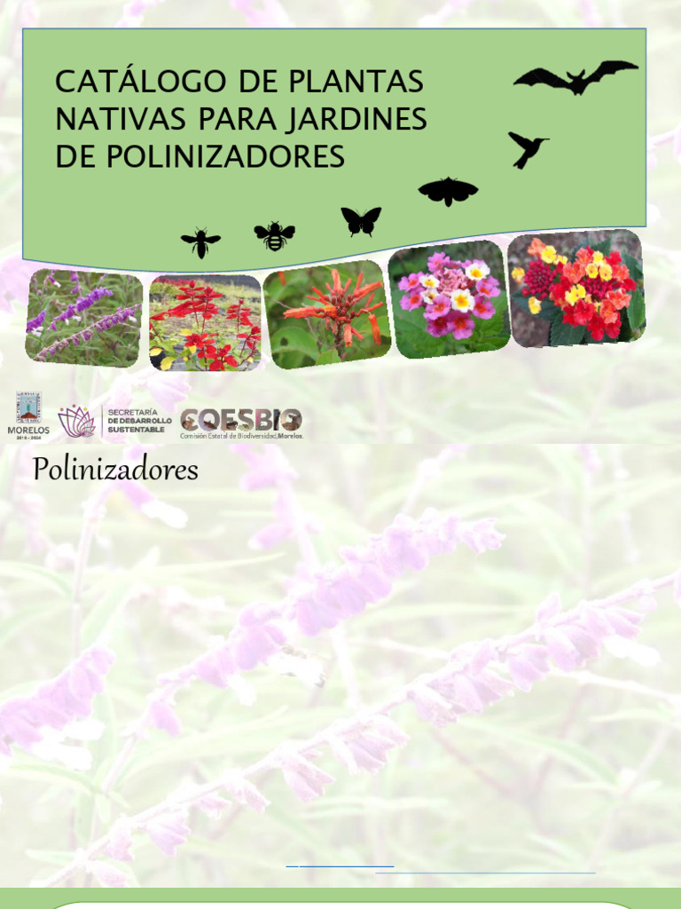 Jardines de Plantas Nativas para Polinizadores | PDF | Polinización