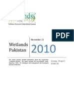Wetland Organizational Structure