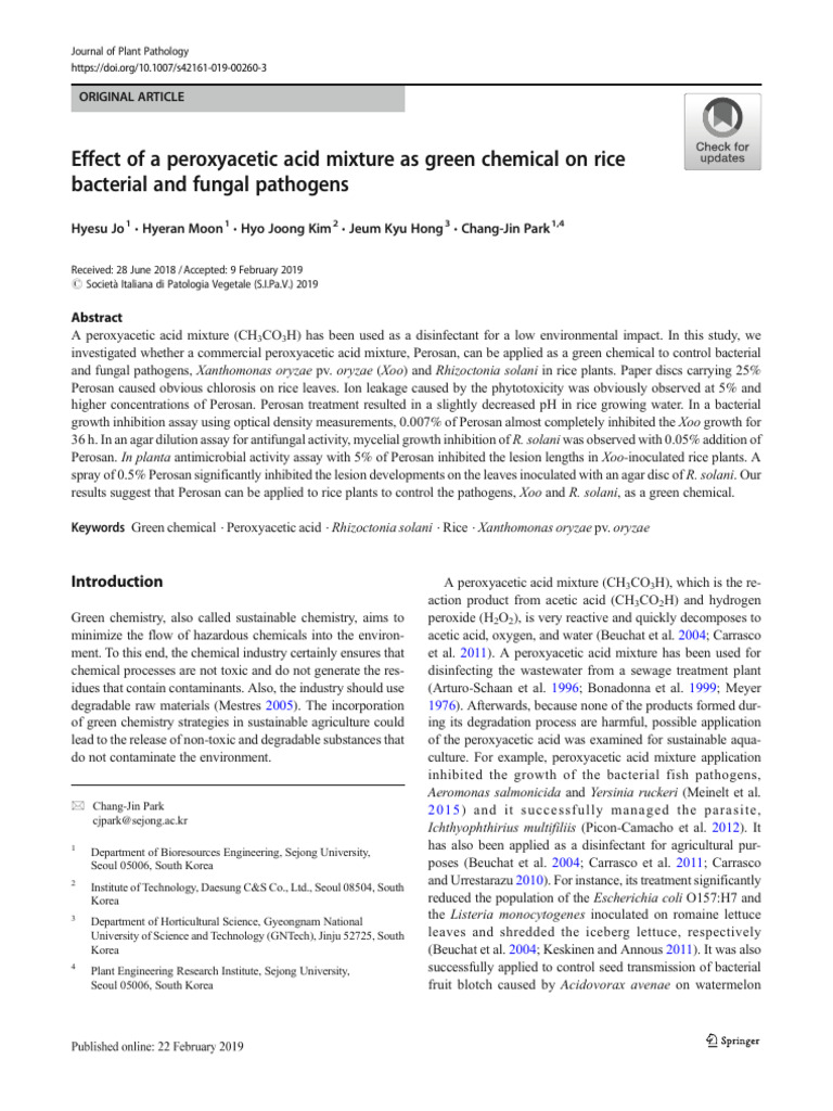 Phytotoxicity Test Rice PAA | PDF