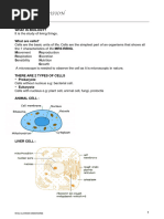 Grade 10 Cell Structure Study Notes | PDF