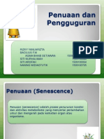 Penuaan Dan Pengguguran