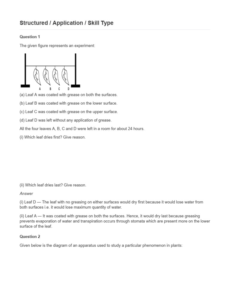 Structured - Application - Skill Type | PDF | Stoma | Leaf