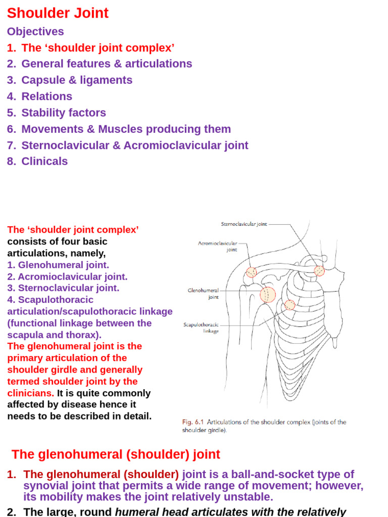Ul 2025 Shoulder Joint Movements Dr Baqir 43 Sl Pdf Shoulder