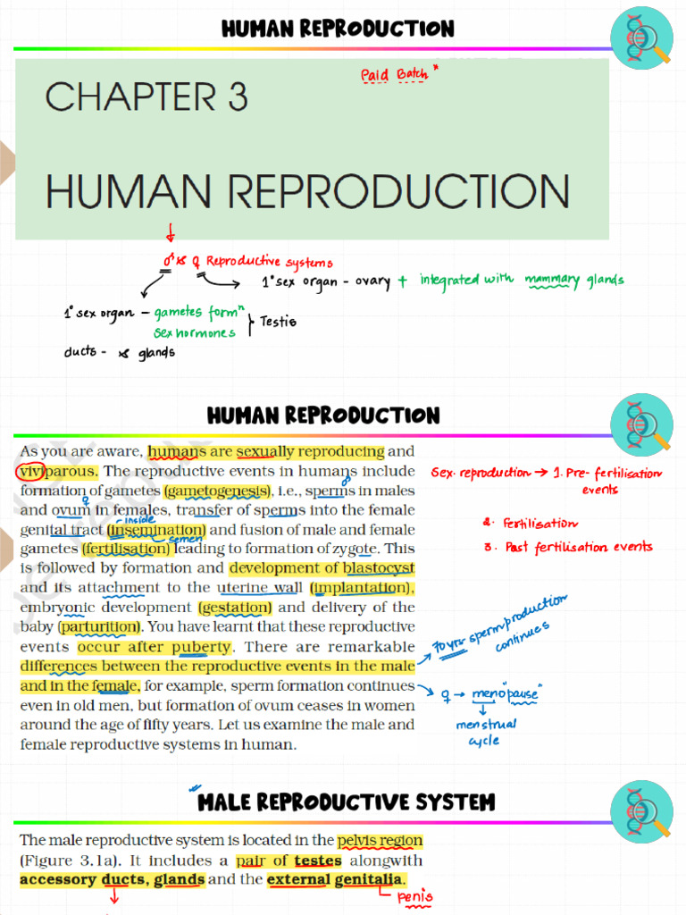 Human Reproduction Overview Guide | PDF