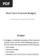 Short Term Financial Budgets and Corporate Finance