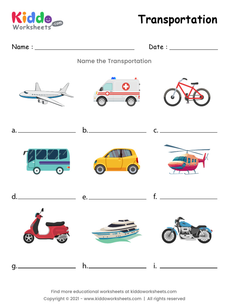 Transportation Worksheet | PDF