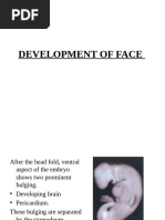 Face Embryology: Development Stages | PDF