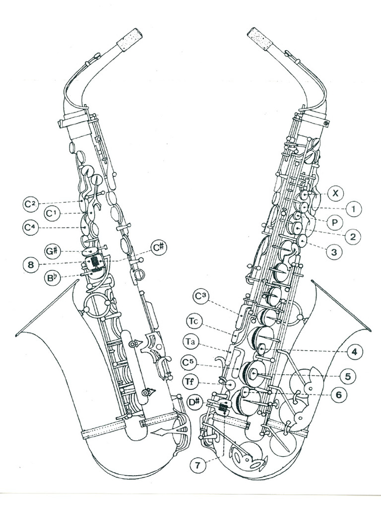Saxophone Fingering | PDF