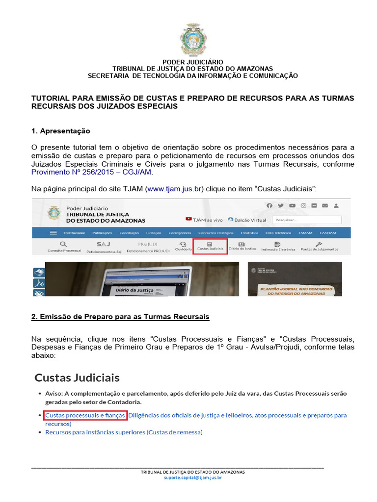 Emissão de Custas para Turmas Recursais | PDF | Judiciários