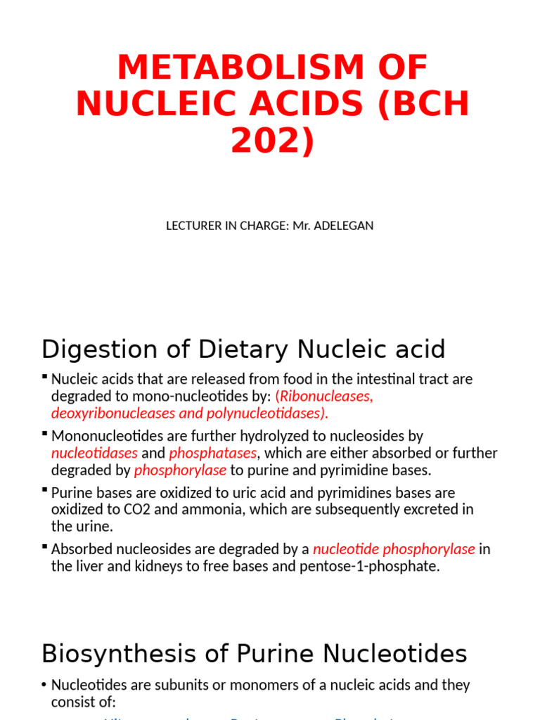 Nucleic Acid Metabolism Overview | PDF | Nucleotides | Biosynthesis