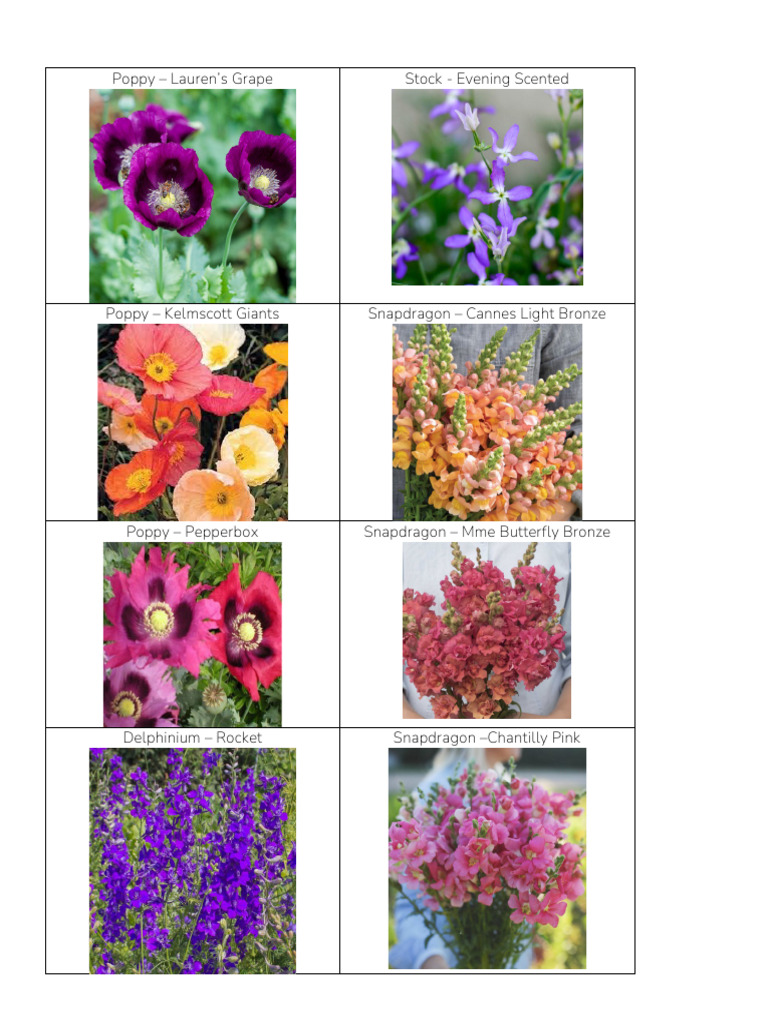 Flower and Images | PDF
