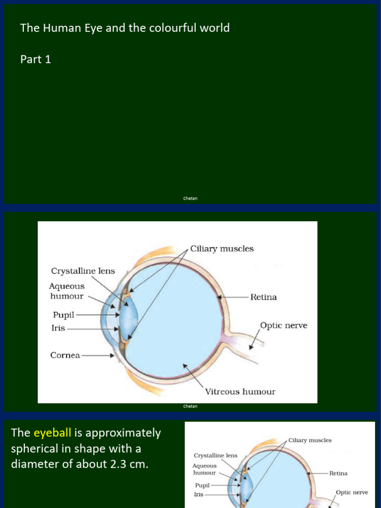 Understanding Eye Defects and Vision | PDF | Eye | Myopia