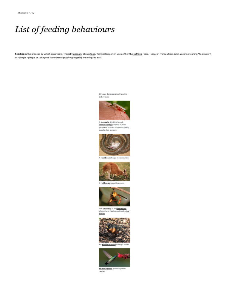 Types of Feeding Behaviors in Biology | PDF | Predation | Foods